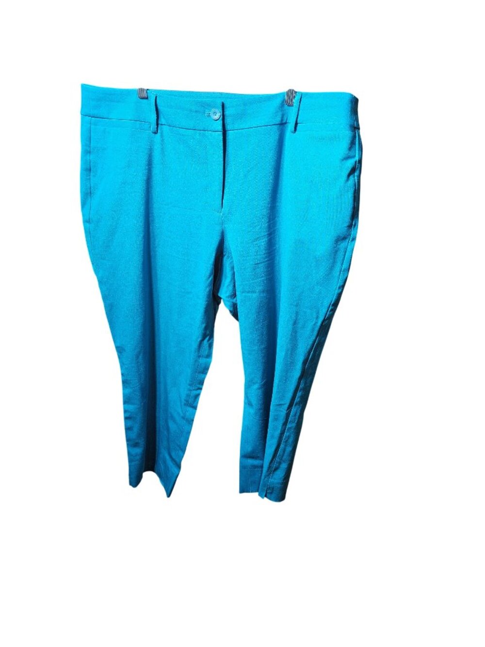 Lane Bryant Womens Size 20 Turquoise Cotton Blend Trousers With Button Closure